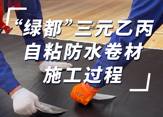 香港12生肖49数字图